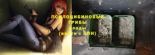 крисы Касимов