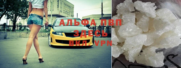 крисы Касимов