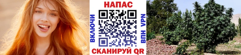 Канабис AK-47  Купить  Горнозаводск 